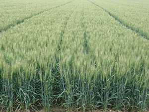 ɽ�r(n��ng)24̖-С���N��-�y�d�N�I(y��)