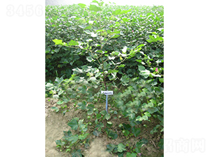 ������28-�޻��N��-�y�d�N�I(y��)