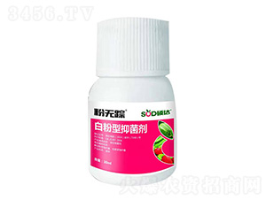 �׷����־���-�۟oۙ-�T�_