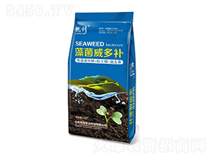 ��������a(b��)-�n��-��ɭ�r(n��ng)�I(y��)