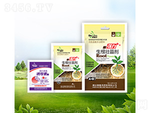 �������焩+�T����-������