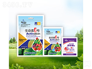 ������1̖+�T����-������