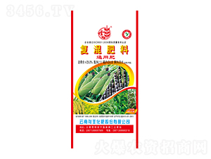 ������͏�(f��)�����11-8-6-���S