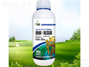 ø�⡤������-������