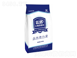 �{(l��n)�������{(di��o)�턩-����