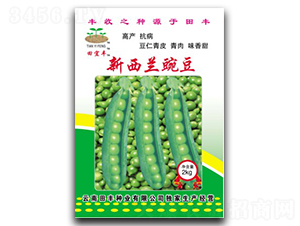新西蘭豌豆-豌豆種子-田豐種業(yè)