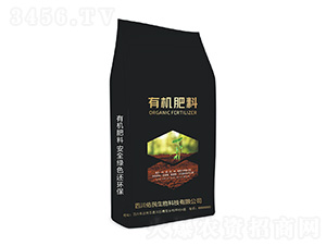 �ЙC(j��)����-��������