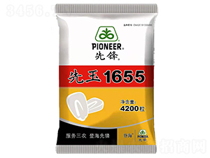 先玉1655-玉米種子-中智龍星