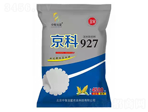 京科927-玉米種子-中智龍星