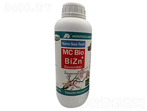 �W�����\-���Ÿ��_-����̩��