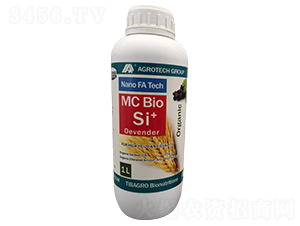 �W�ع�-���Ÿ��_-����̩��