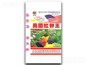 �����t���-¡���ʘI(y��)