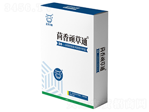 �����B��ͨ-���A����