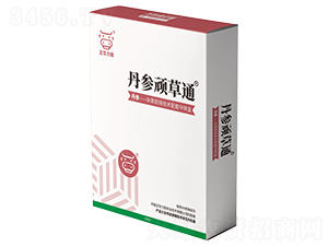 �����B��ͨ-���A����