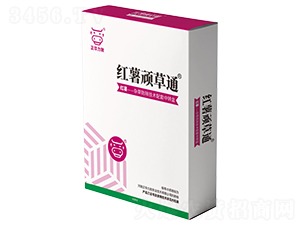 �t���B��ͨ-���A����