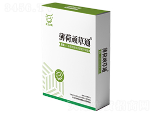 �����B��ͨ-���A����