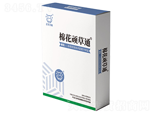 �޻��B��ͨ-���A����