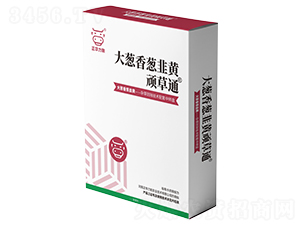 ���[�����[�����S�B��ͨ-���A����