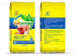 �O(p��ng)�����������ЙC(j��)����-��������