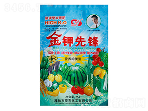 金鉀先鋒-亞?wèn)|化工