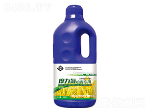 摩力氮小麥專(zhuān)用追肥-正能量