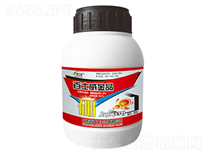 ��ʿ����Ʒ��-��ʿ��