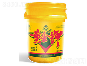 ��⛸��}�ָ�������S���-������-�r(n��ng)ʥ��