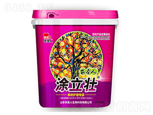 �����o(h��)�팣��-Ϳ����-�r(n��ng)ʥ��