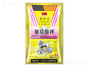 �S�����-�����ʘI(y��)