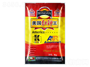 ����(gu��)�t���-�����ʘI(y��)