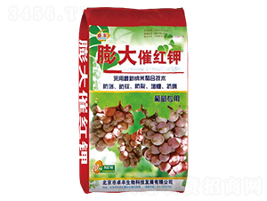 ���ь���-���߼t�-�����ʘI(y��)