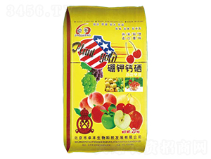 ����}��-�����ʘI(y��)