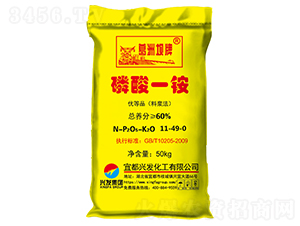 ����һ�@-���މ���-�d�l(f��)