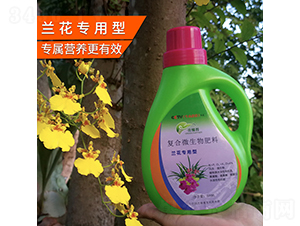 �m�������͏ͺ�΢�������-������