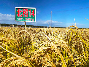 ����14̖-ˮ���N��-���ϷN�I(y��)