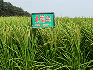 ����24̖-ˮ���N��-���ϷN�I(y��)