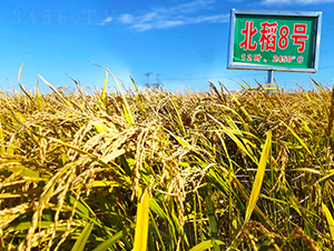 ����8̖-ˮ���N��-���ϷN�I(y��)