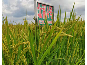 ����4̖-ˮ���N��-���ϷN�I(y��)