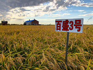 ��ʢ3̖-ˮ���N��-���ϷN�I(y��)