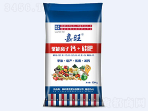 �����x���}+���-����-���ʢԴ 