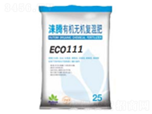 �ЙC�o�C��(f��)���ECO111-�Z�v