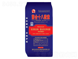 ����ʮ��΢��-�A�I����