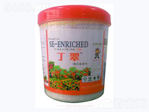 �������ϸ����}-�A�I����