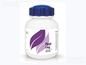 ������-�{��