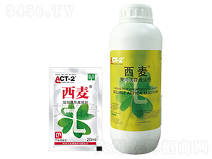 �p���T��(d��o)���-����-������