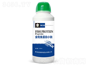 ���~����С��-������-���S˹�طʘI(y��)