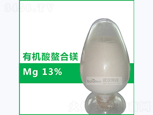 13%�ЙC(j��)�������V-�����Ƽ�