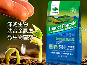 �ĺϽ�΢�������-�ɕ�����