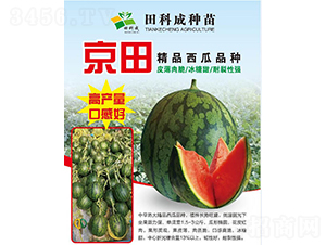 ����-���ϷN��-��Ƴ�