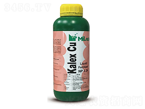 ������(zh��n)��-���h(yu��n)